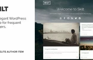 Themeforest : Skilt - A WordPress theme for Frequent Bloggers