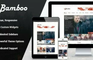 Themeforest : Bamboo - Responsive WordPress Magazine Theme