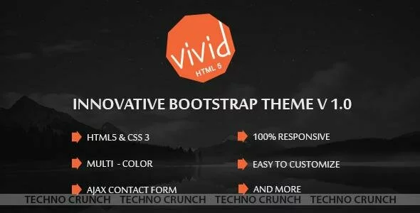 Themeforest : Vivid | Bootstrap Parallax HTML Template