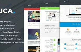 Themeforest : Luca - Premium Wordpress Theme