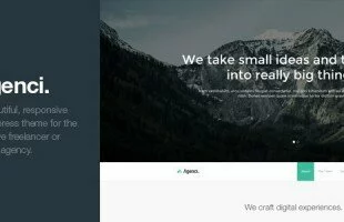 Themeforest : Agenci - One Page Responsive WordPress Theme