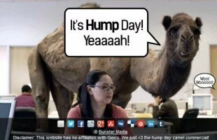 Is It Hump Day?
