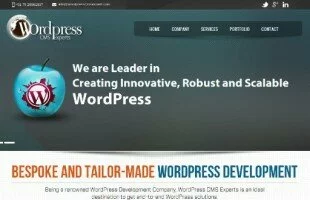 WordPressCMSExperts
