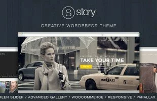 Themeforest : Story - Creative Responsive Multi-Purpose Theme