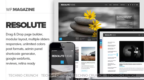 Themeforest: Resolute - Elegant Magazine & Blog Theme