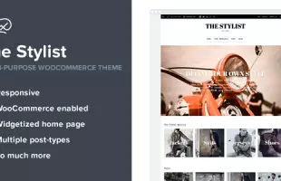 Themeforest: Stylist - Multi-Purpose WooCommerce Theme
